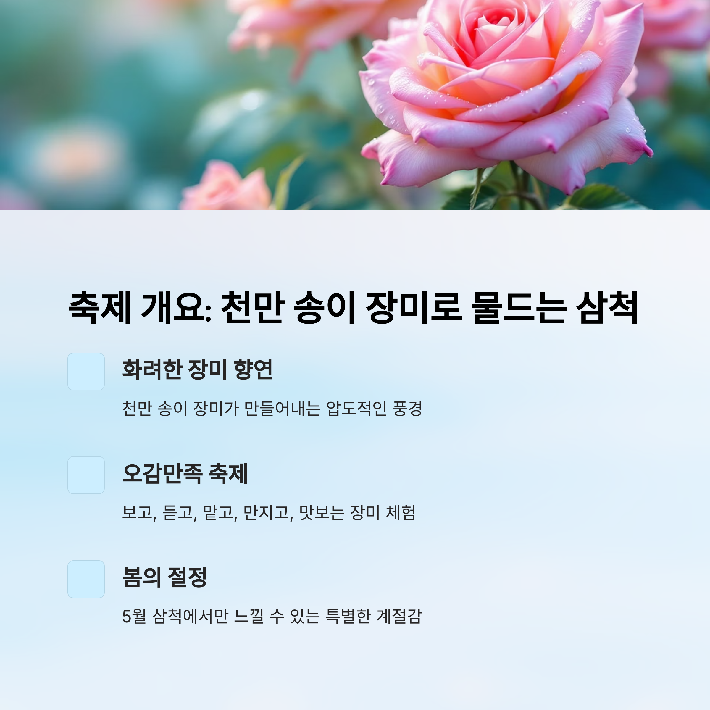 2025 삼척 장미축제 가이드