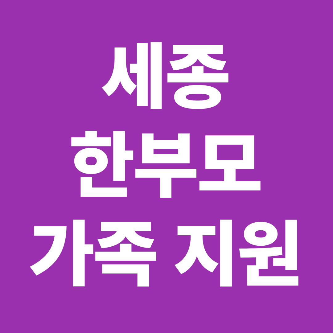 2026 세종 한부모 지원금 소규모 지역 혜택 자격 금액 신청방법