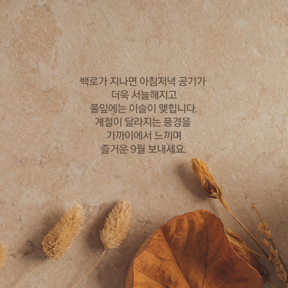 백로가 지난 뒤 이슬과 가을 풍경을 담은 9월 인사말 이미지