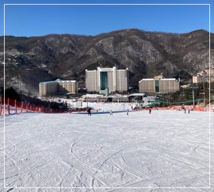 비발디파크스키장