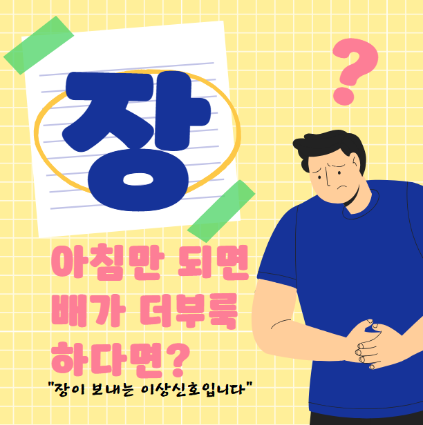 아침마다 배가 더부룩한 이유? 장 건강 때문일 수 있어요!