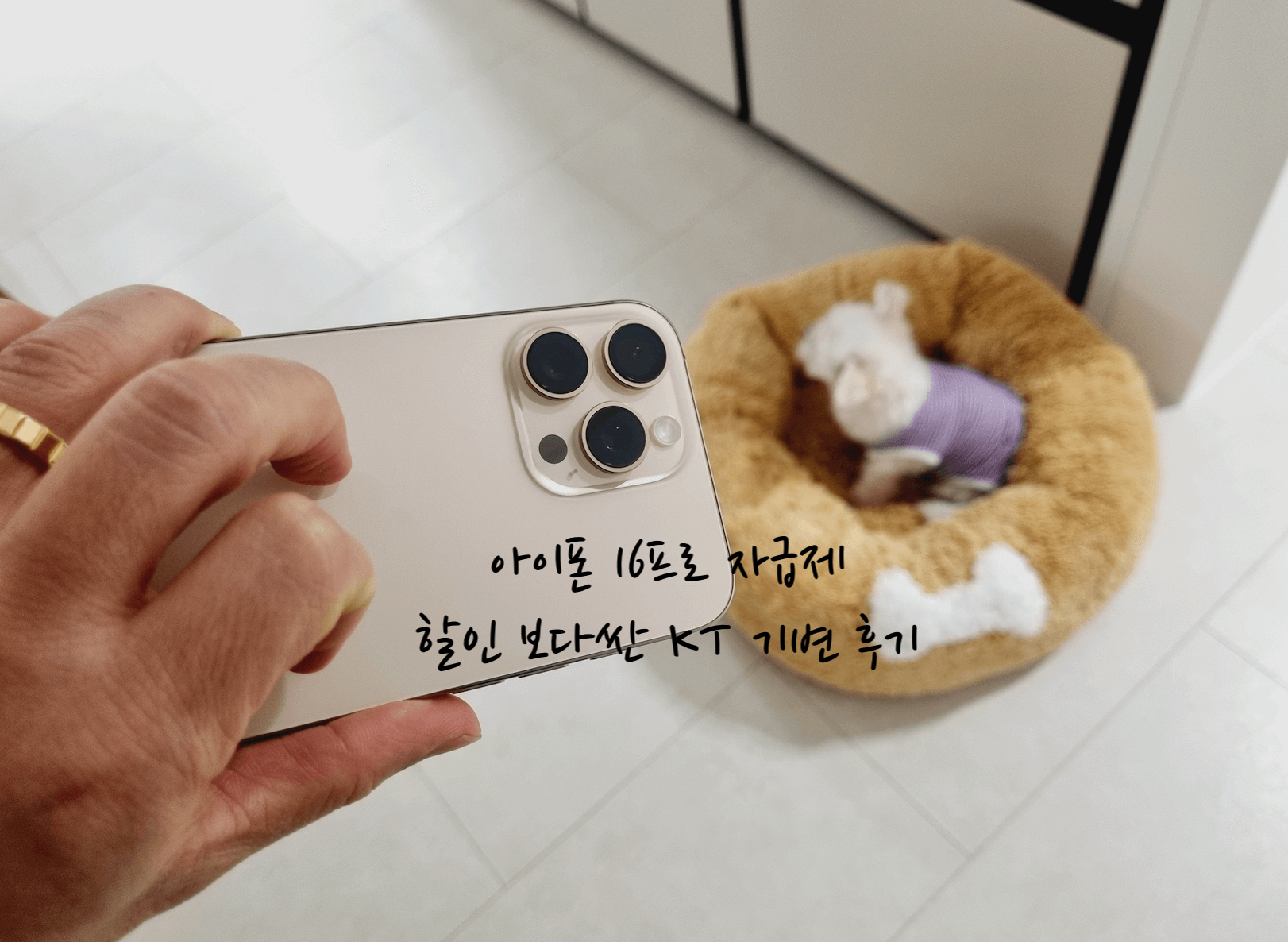 아이폰 16프로