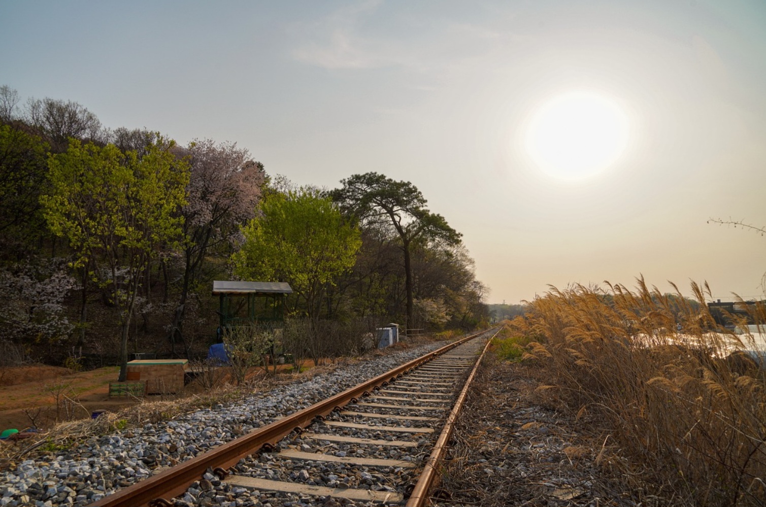소도시에서의 하루: 느리게 살아보는 특별한 경험
