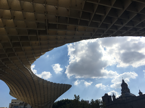 메트로폴 파라솔