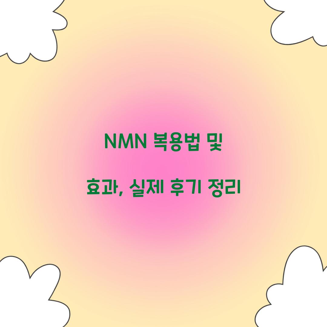 nmn 복용법