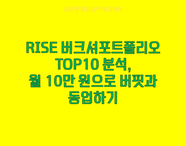 RISE 버크셔포트폴리오TOP10 분석, 월 10만 원으로 버핏과 동업하기
