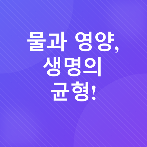 실내 가지 재배_4