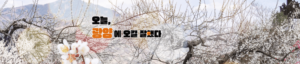 광양매화축제 홈페이지