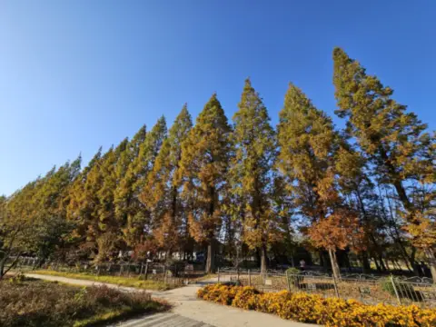 단풍명소-경주여행