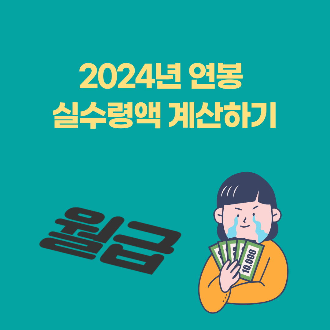 2024년 연봉 실수령액 계산하기