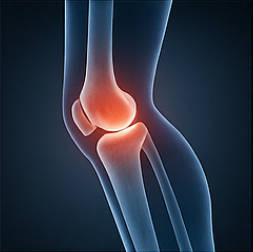 콘드로이친1200mg