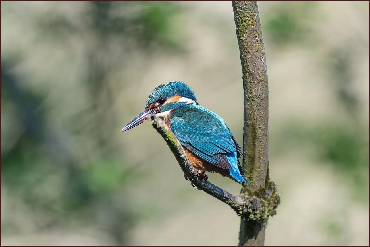 적금 이율 높은 은행