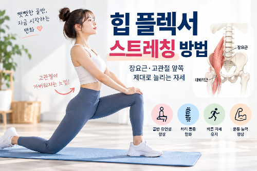힙 플렉서 스트레칭 방법｜장요근&middot;고관절 앞쪽 제대로 늘리는 자세