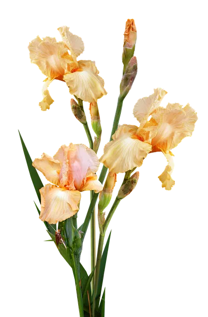 무창포 해수욕장 여행코스 바다 갈라짐 시간표 포함 정리_4