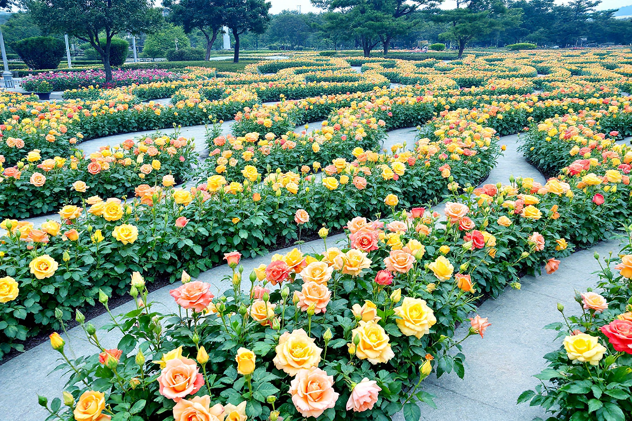 미네르바의 정원