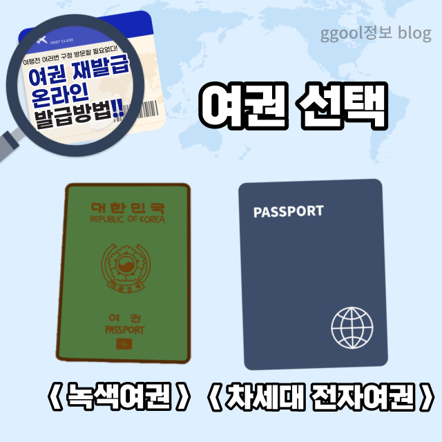 여권선택