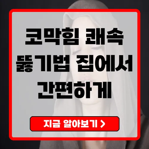 코막힘뚫는법 완벽 가이드 집에서 간단하게 해결하는 방법 총정리