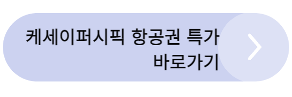 항공권 특가