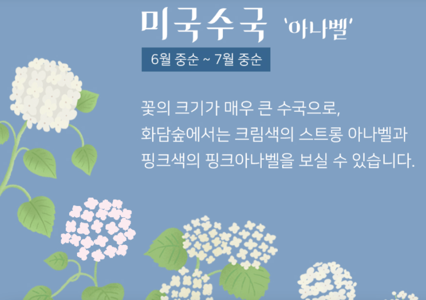 화담숲 여름 수국축제 일정 및 예약방법