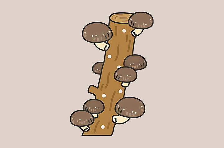 표고버섯-하루-섭취-권장량