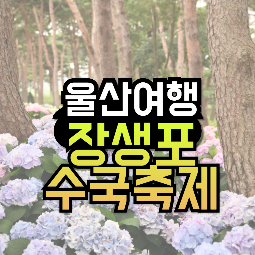 울산 장생포 수국축제 기본정보 초대가수 주차창