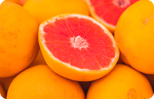 강아지에게 자몽을 먹여도 안전할까요?