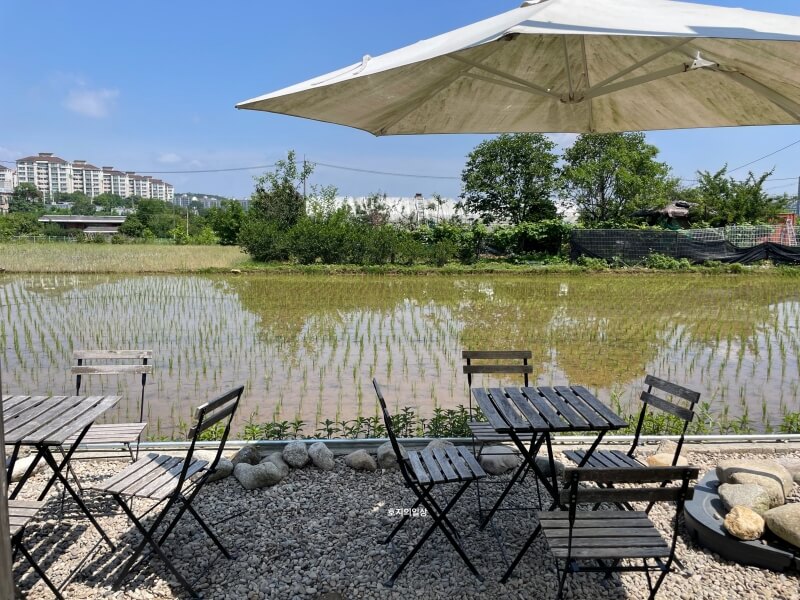 용인 기흥 카페 구성커피 로스터스 후기 - 야외석