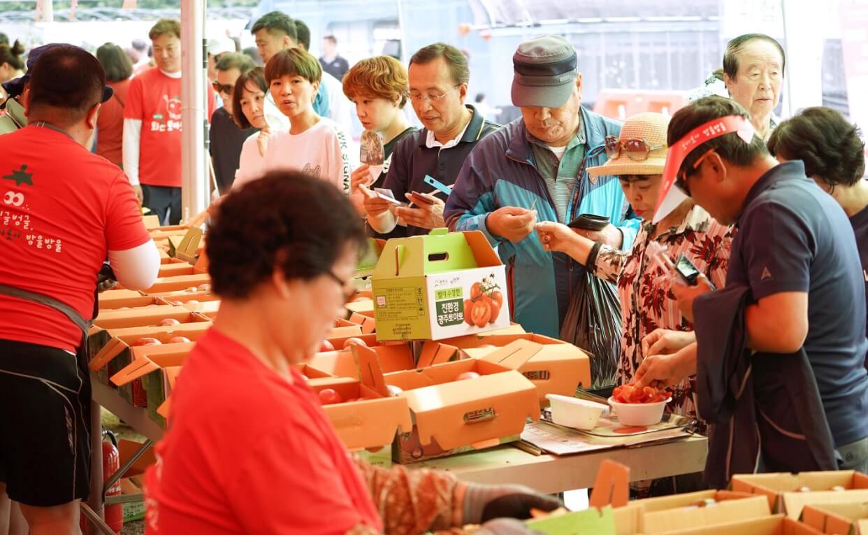 퇴촌토마토축제