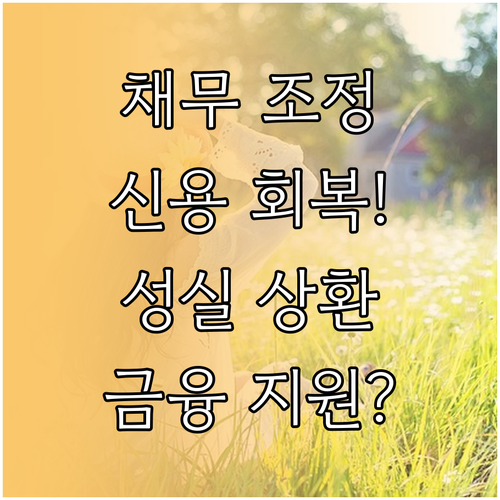 채무조정 후 신용 기록 관리 및 성실..