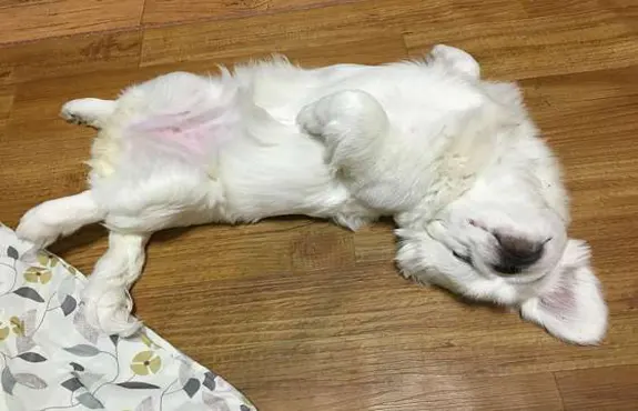 내꺼야