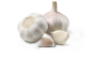 마늘
