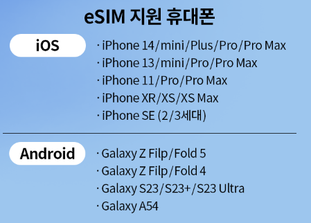 e sim을 지원하는 스마트폰 종류 정리