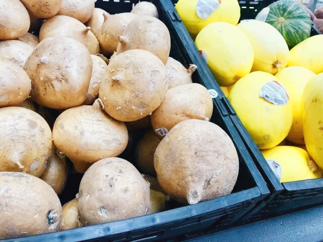 멕시코감자 장내 유익균 증가 효능