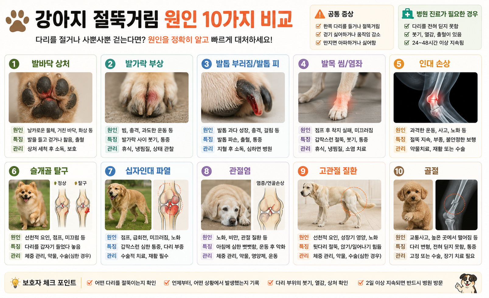 강아지 절뚝거림 원인 10가지 비교 이미지, 강아지 절뚝거리는 이유, 발바닥 상처, 발가락 부상, 발톱 부러짐, 슬개골 탈구, 십자인대 파열, 관절염, 고관절 질환, 골절 증상 비교