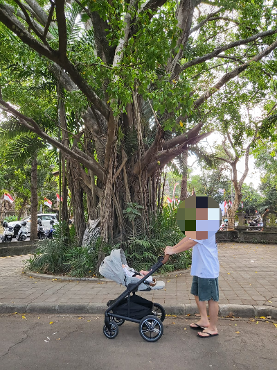 50일아기외출, 오후산책, 신생아첫외출