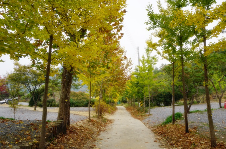 양평수목원캠핑장