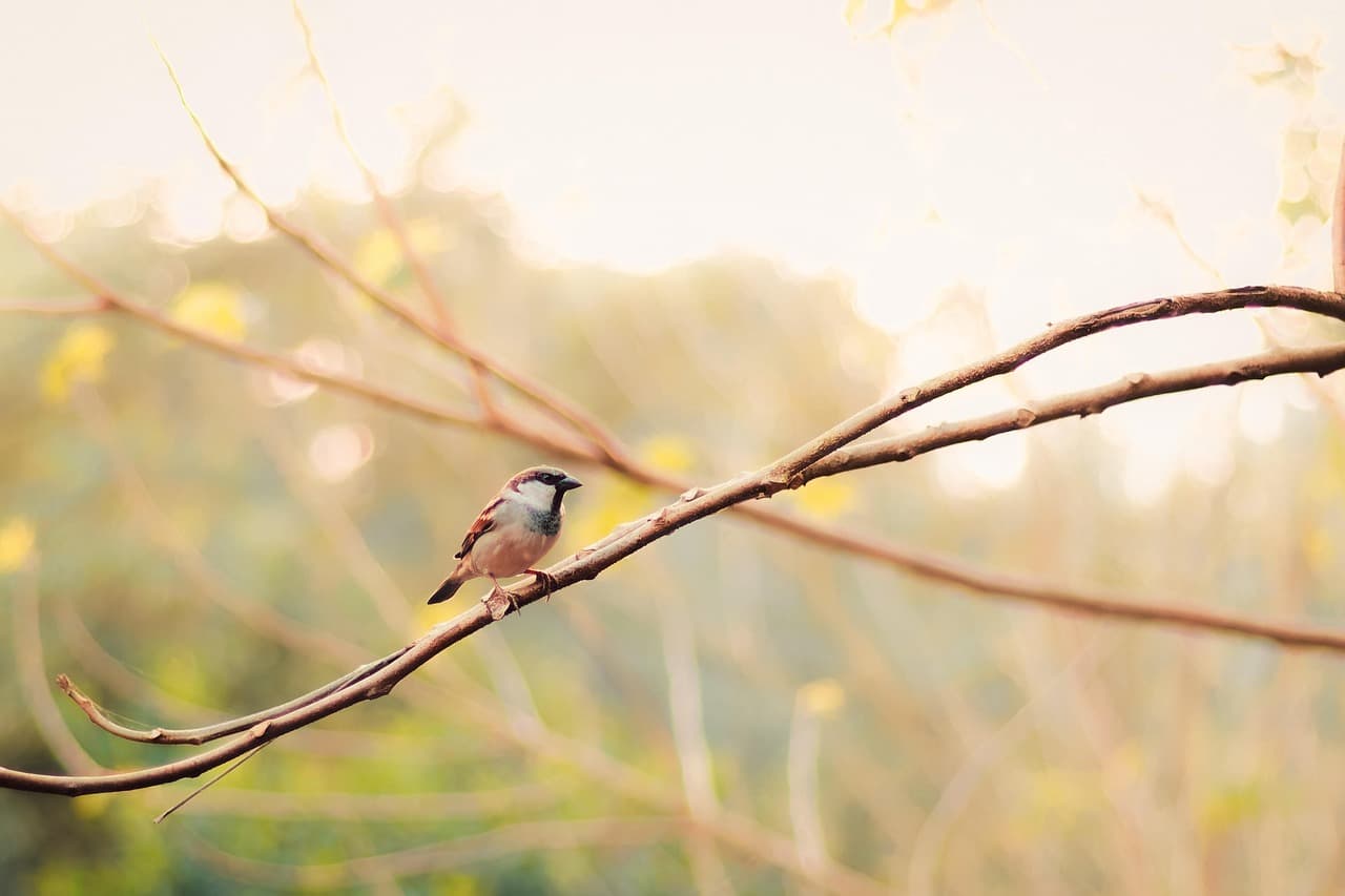 ✈️ 10월 일본여행 항공권 최저가 예약 전략