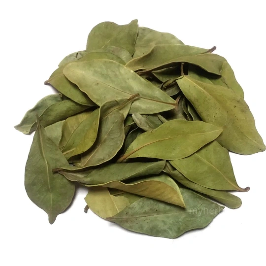 잘 말린 구아바잎