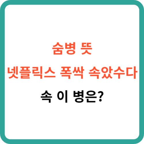 숨병 뜻 넷플릭스 폭싹 속았수다 속 이 병은? 썸네일