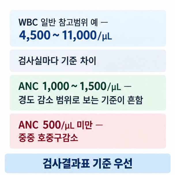 백혈구 WBC 일반 참고범위와 절대호중구수 ANC가 감염 위험 판단에 중요하다는 내용을 비교한 이미지