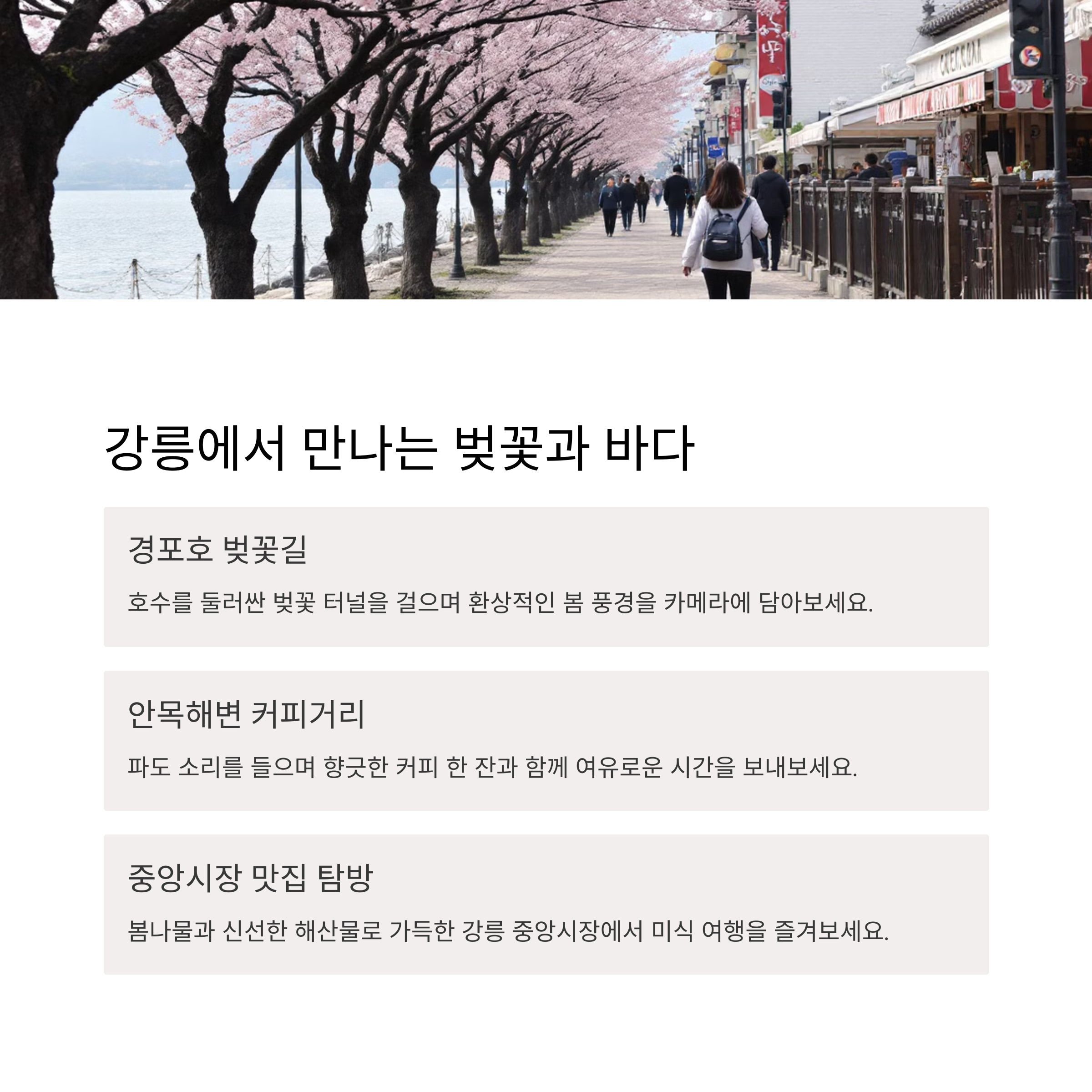 2025년 서천 동백꽃 쭈꾸미 축제