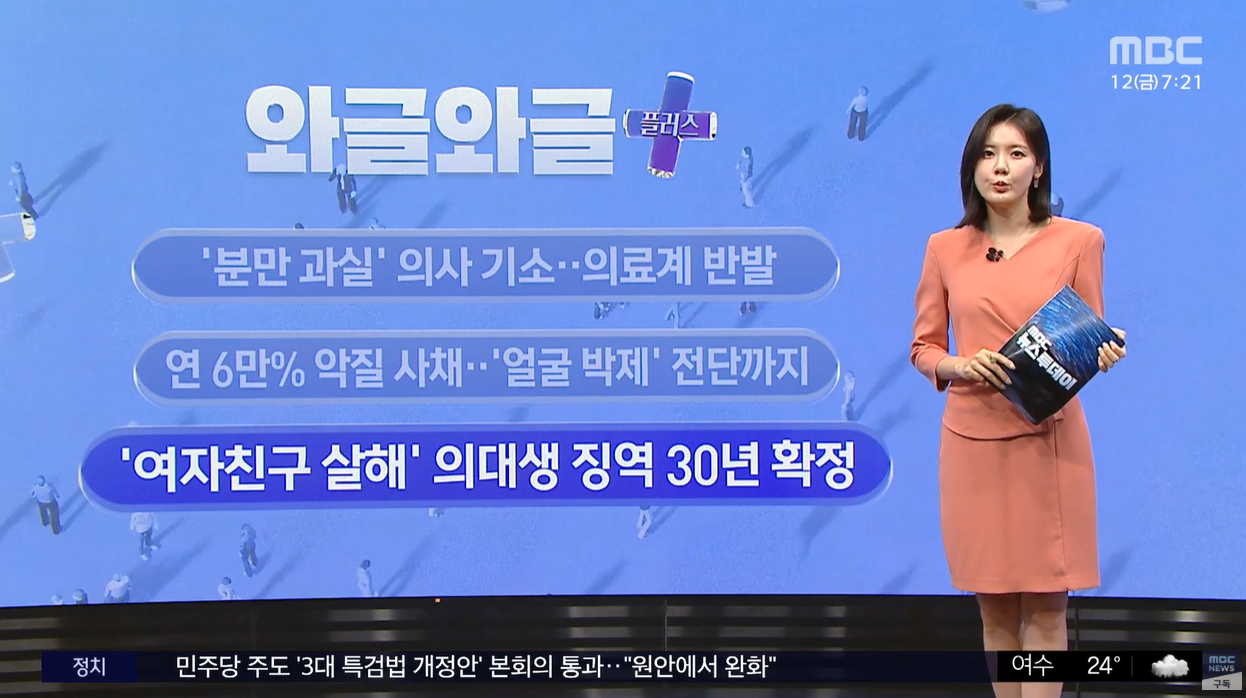 강남역 의대생 살인사건 혼인신고 계획범죄 징역30년형 사법정의 데이트폭력 연인살해 대법원확정