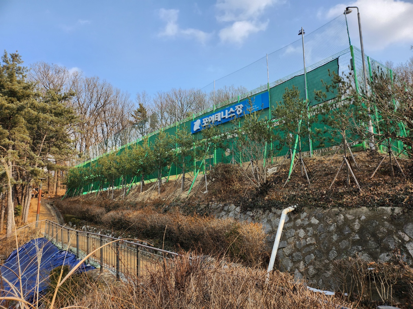 강남 개포동 포이테니스장 일일 입장 대관 레슨 수강 신청 프로그램 가격 요일 날짜 시간