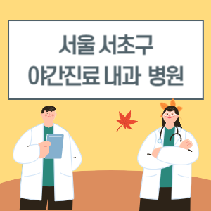 서초구 야간진료 내과 병원 리스트 (18시 이후 늦게까지하는 병원)