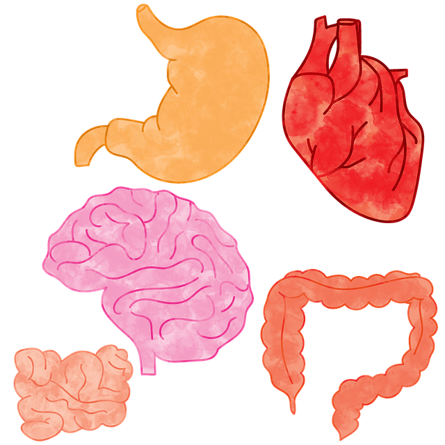 유산균 먹는시간