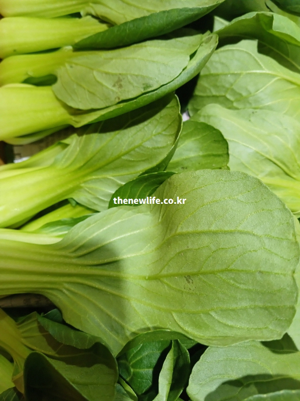 지용성 비타민 흡수율을 높이는 기름 조리에 적합한 싱싱한 청경채 잎 사진