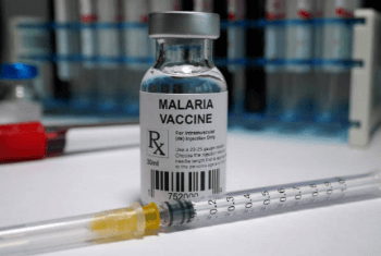 세스코 모기 비용