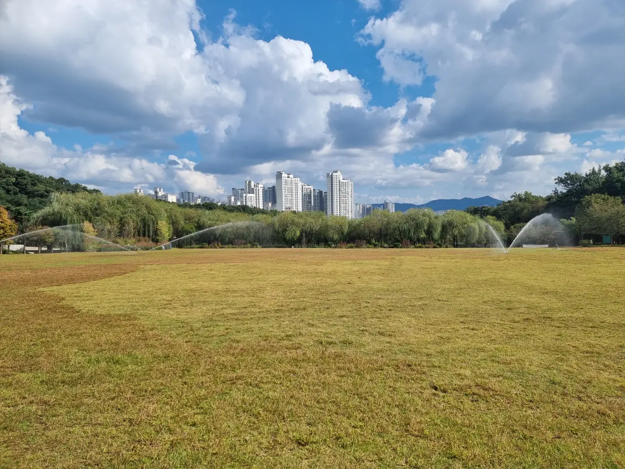 넓은-잔디밭-바닥-분수