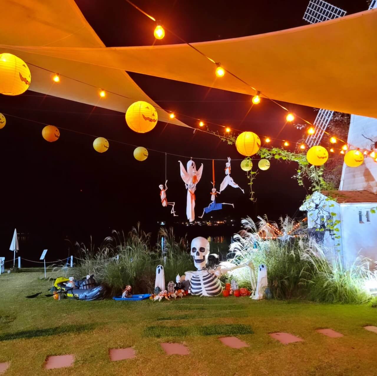 서울·근교 강아지와 함께 갈 수 있는 펫카페 추천 & 방문 꿀팁 총정리