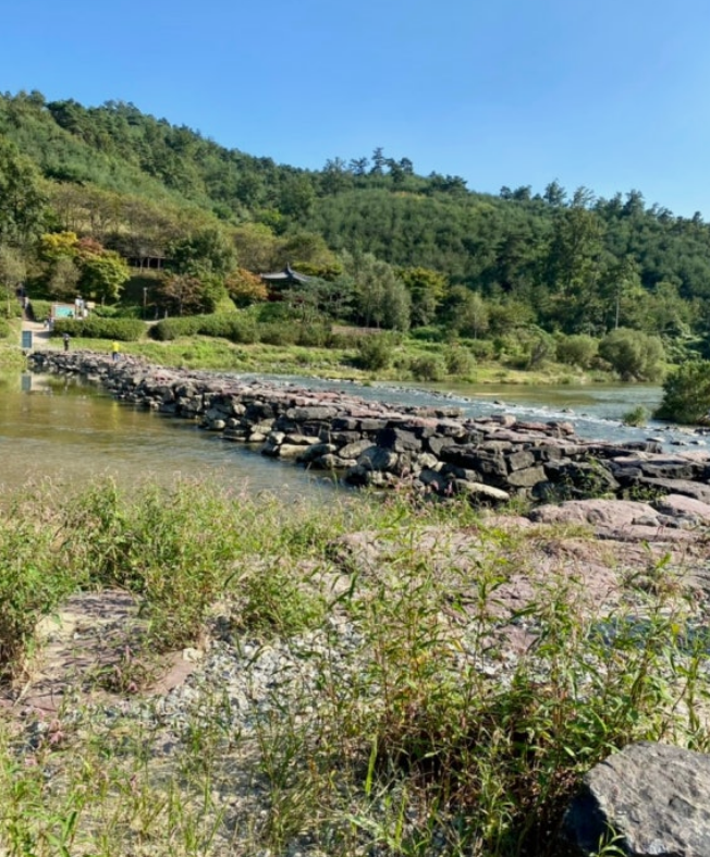 반려견 동반 가능 여부